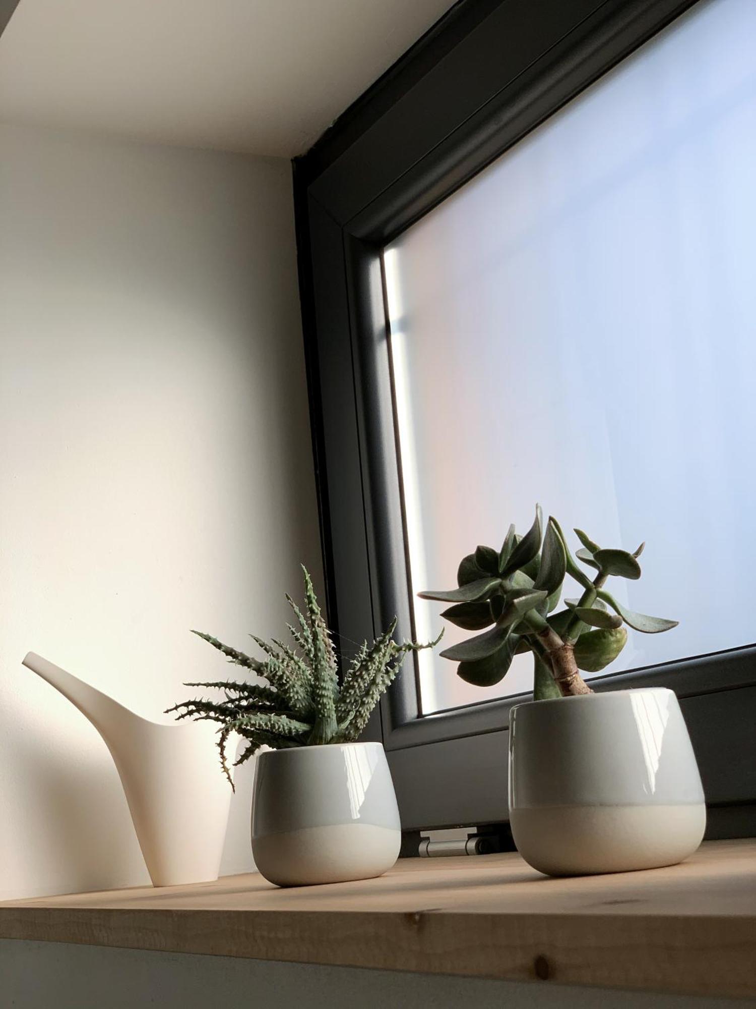 Studio "Le Cocon" Proche Colmar - Free Parking & Wifi Horbourg Екстериор снимка